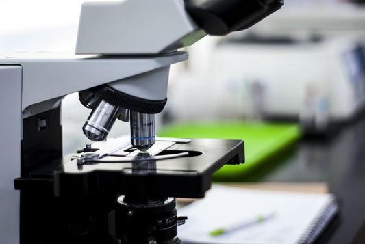 Was in unseren Produkten nicht enthalten ist: Ein Blick hinter die Kulissen unserer Laboranalysen