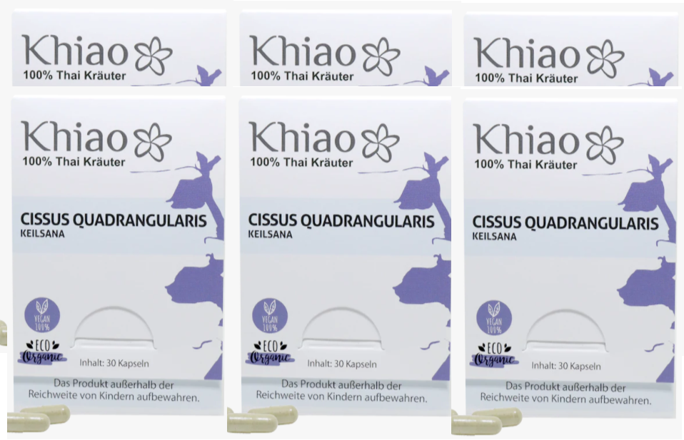 Cissus Quadrangularis Keilsana - Gelenkkapseln für Knochen