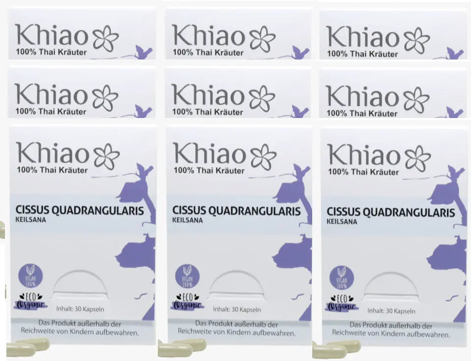 Cissus Quadrangularis Keilsana - Gelenkkapseln für Knochen Khiao