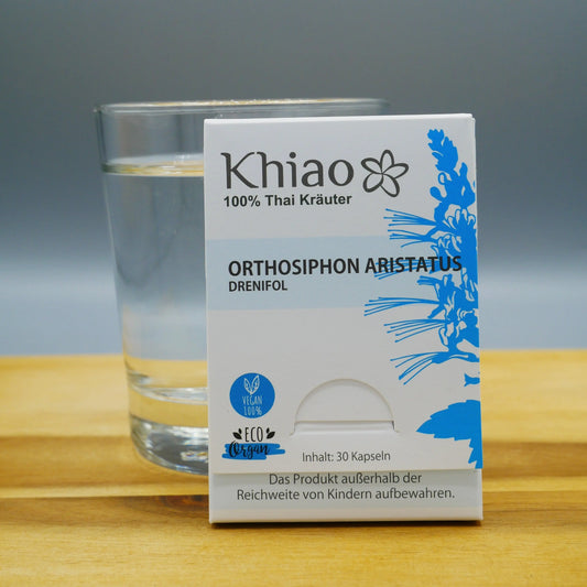 Orthosiphon Aristatus Drenifol - Entwässerung Khiao