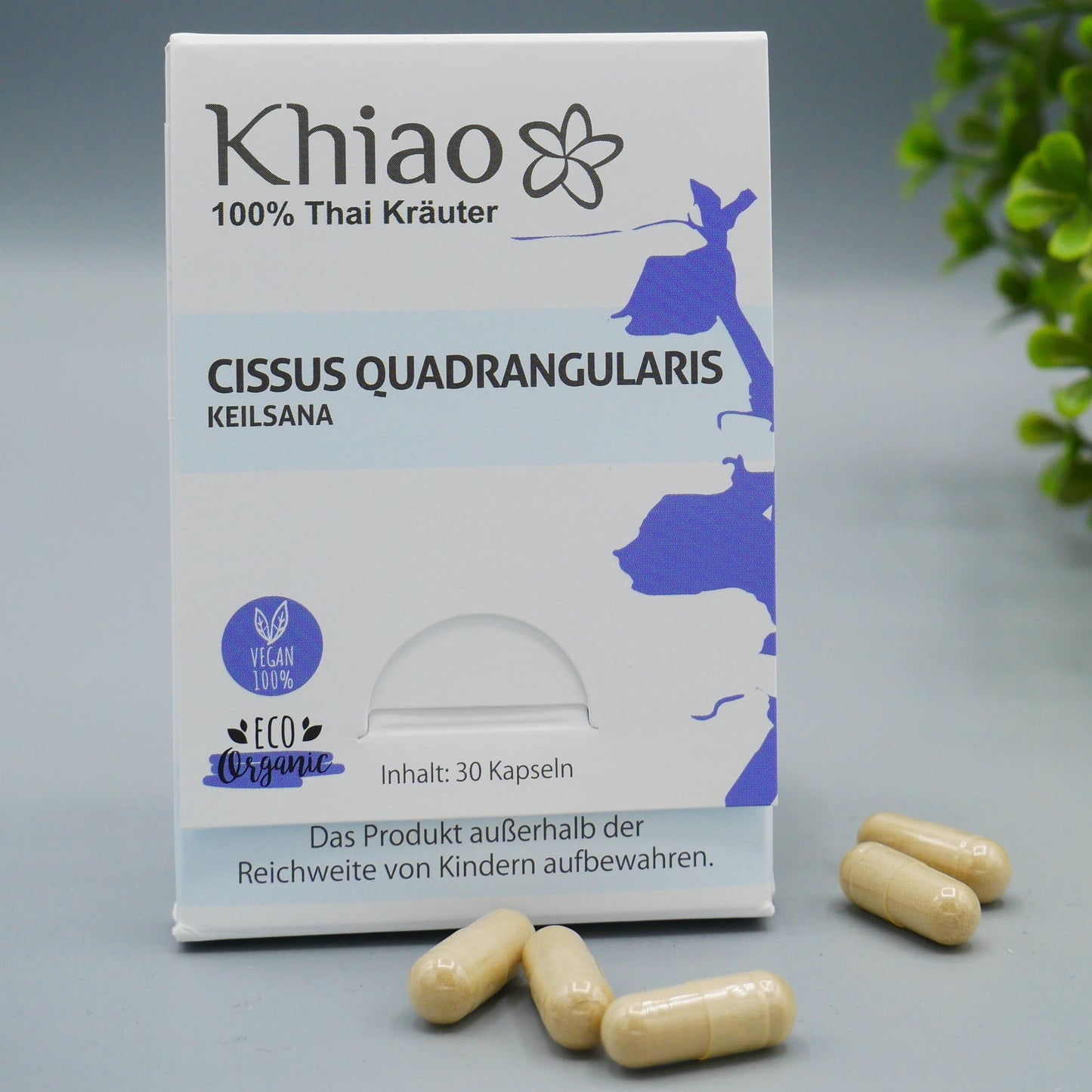 Cissus Quadrangularis Keilsana - Gelenkkapseln für Knochen