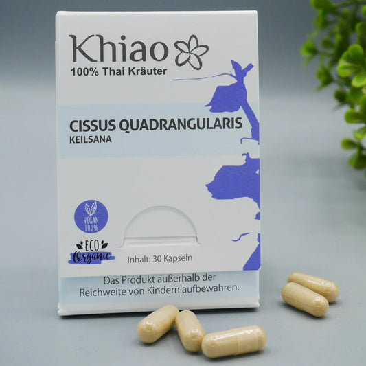 Cissus Quadrangularis Keilsana - Gelenkkapseln für Knochen Khiao