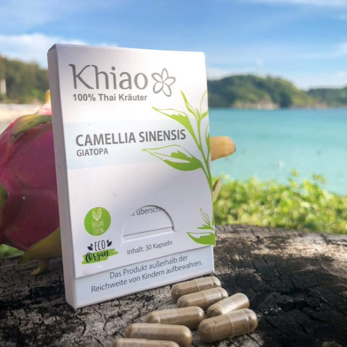 Camellia Sinensis Giatopa - Energie aus grünem Tee