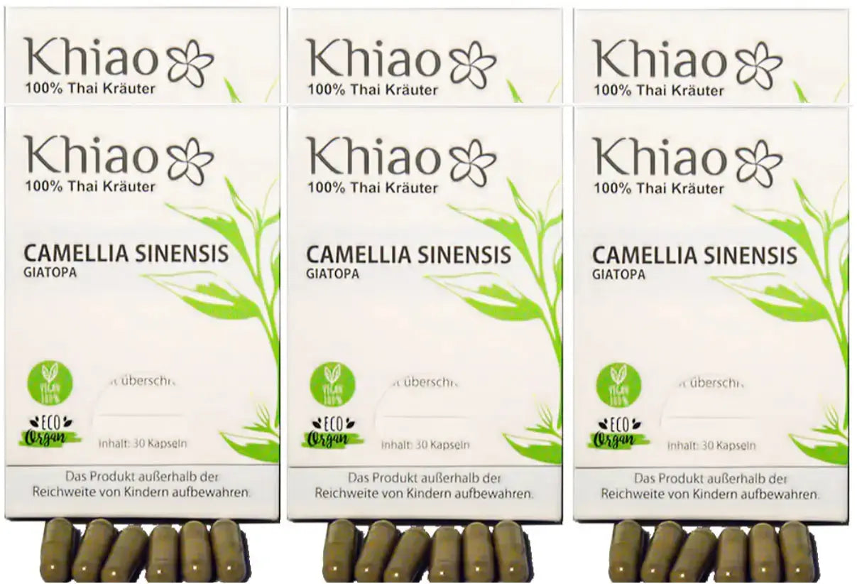 Camellia Sinensis Giatopa - Energie aus grünem Tee Khiao
