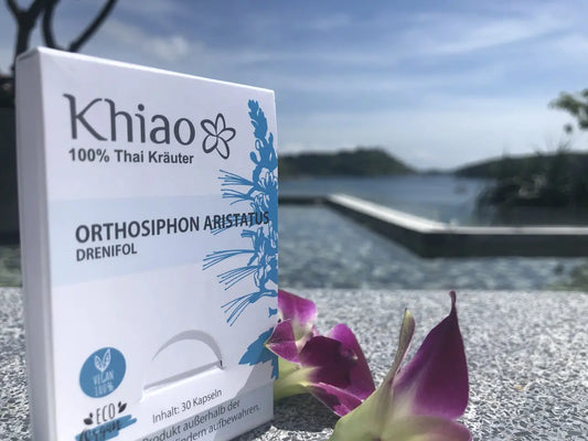 Die-Seele-unserer-Rezepturen-Meine-Reise-zu-den-Wurzeln-der-Traditionellen-Thai-Heilkunst BodyVita