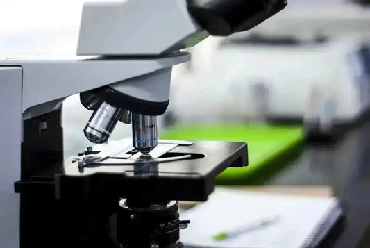 Was-in-unseren-Produkten-nicht-enthalten-ist-Ein-Blick-hinter-die-Kulissen-unserer-Laboranalysen BodyVita