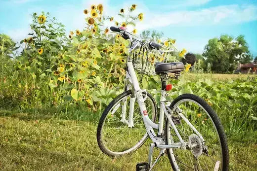 Hilfe-bei-Verstopfung-hartem-Stuhl-und-Reizdarm BodyVita